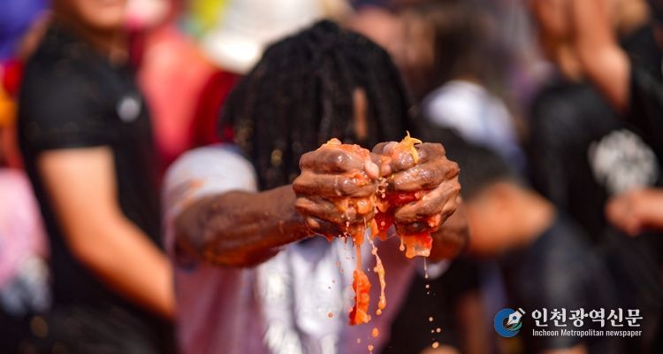지난 8월1일부터 4일까지 사내면에서 열린 2024 화천토마토축제. 관광객들이 황금반지를 찾는 이벤트를 즐기고 있다