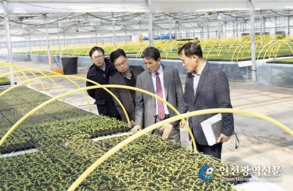 김돈곤 청양군수, 농기센터 다목적육묘장 방문