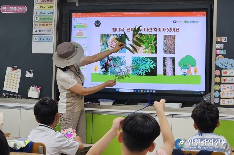 늘봄학교 숲교육