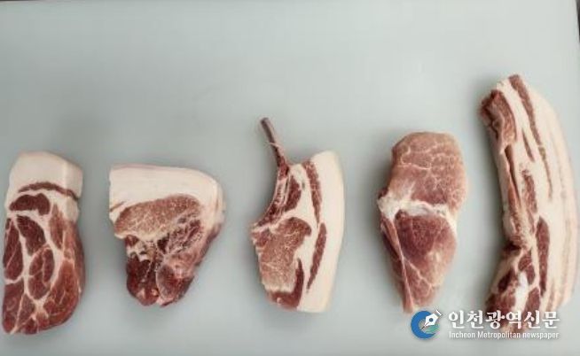 난축맛돈 구이용 부위 개발-(왼쪽부터 순서대로) 목심, 티돈스테이크, 돈마호크, 뒷다리살, 삼겹살