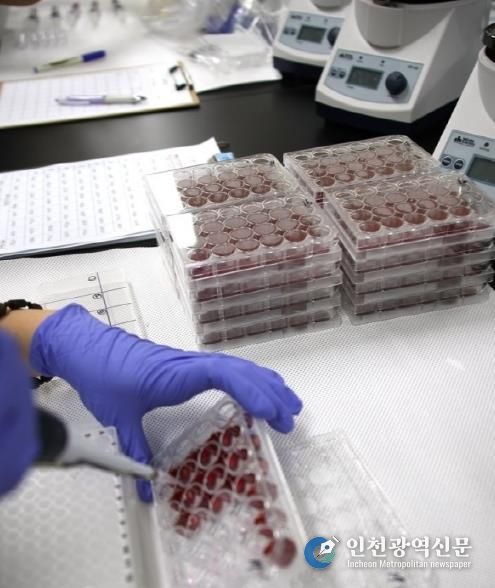 경기도, 결핵병·브루셀라병 방역 강화 위한 검사증명서 휴대 명령 개정