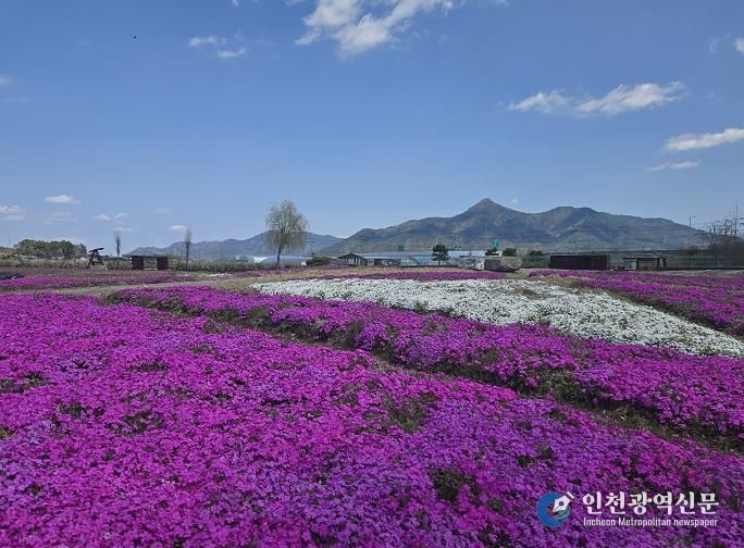 들판에 새로운 색을 입히다