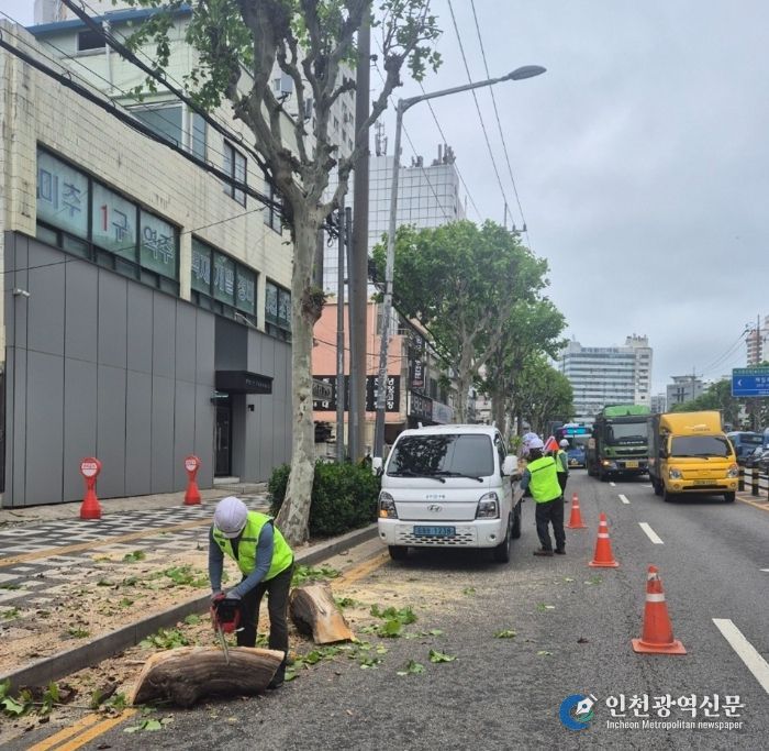 가로수 전도 대비 재난 대응훈련