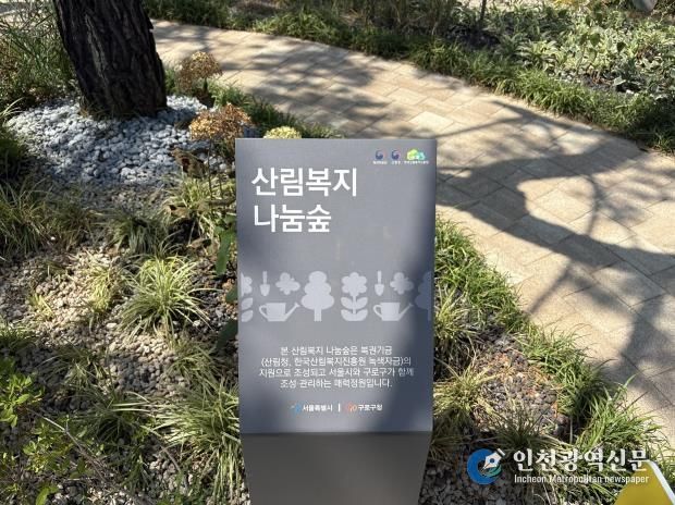 고려대학교 구로병원 나눔숲 사진