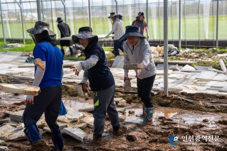 예산군 수해피해지역 대민지원 활동