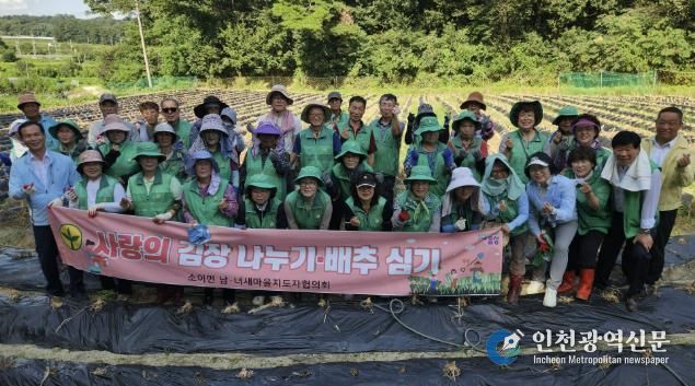 음성군 소이면 새마을회, 배추 모종 심기 행사 추진