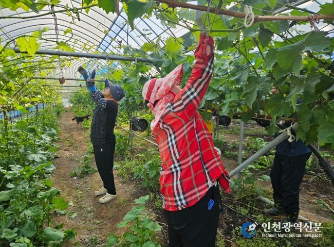 일손지원 기동대 상반기 활동 사진