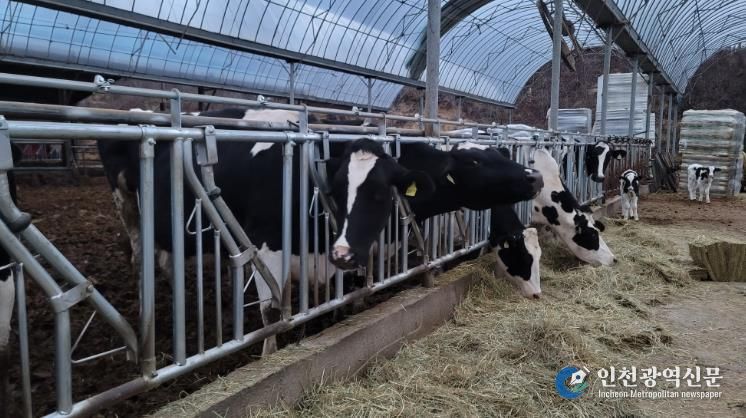 남원시, ‘2026년 축산악취개선사업’ 공모 선정