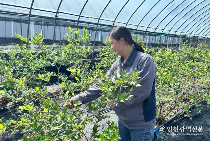 정읍시, ‘2026년 외국인 계절근로자 프로그램’ 수요조사 실시