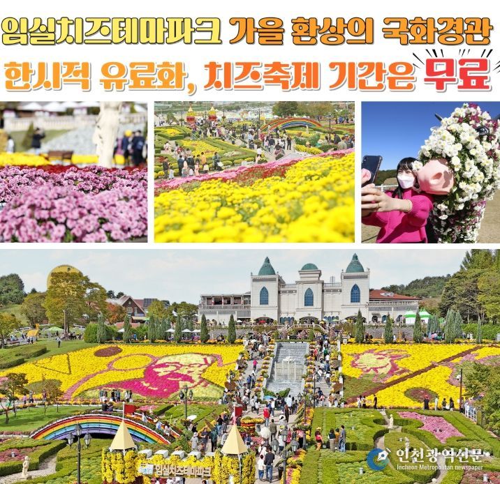 임실치즈테마파크, 가을 환상적인 국화경관 한시적 유료화…
