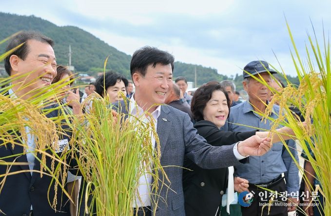 벼 수확을 앞두고 지난 24일 소라면 대곡마을에서 ‘2025년 벼농사 종합평가회’를 열었다.