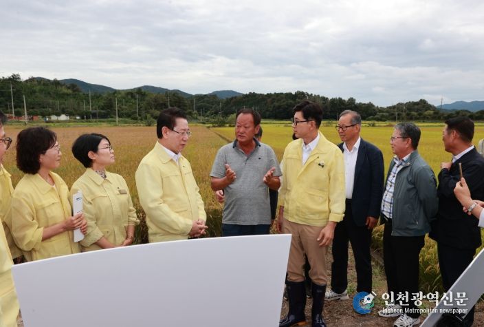 김철우 보성군수·김영록 전남도지사, 벼 깨씨무늬병 피해 현장 점검_미력면 피해 현장에서 김철우 보성군수(오른쪽)와 김영록 전라남도지사(왼쪽)가 벼 깨씨무늬병 병해를 점검하고 있다.