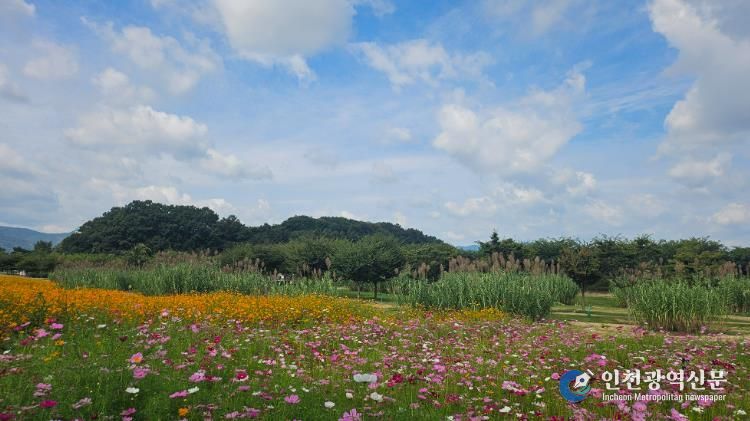 가을창포원 전경