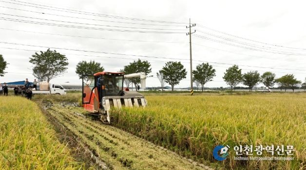 수확을 시연하는 백성현 논산시장