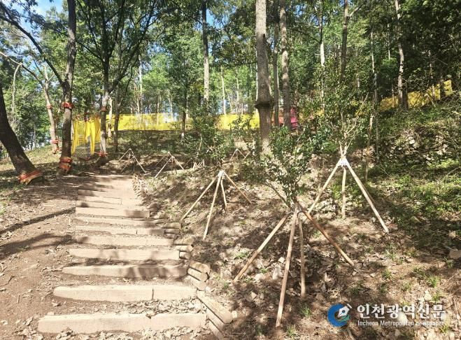 강진군 산림공원 내 어린이 밧줄 체험시설