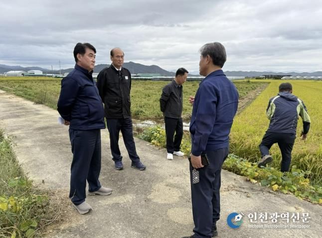 강영석 상주시장, 사벌국면 가루쌀 등 벼 피해 현장 찾아 농가 위로