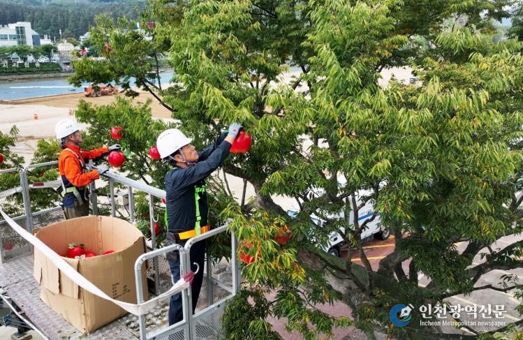 가을 축제의 정수‘제19회 청송사과축제’ 본격 준비 태세 돌입