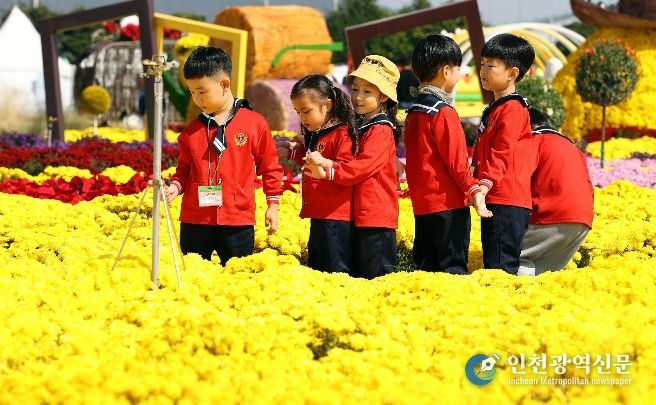 제10회 강진만 춤추는 갈대축제