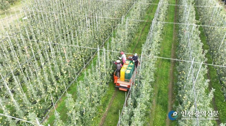 청송군, 2026년도 과수생산분야 지원사업 신청접수