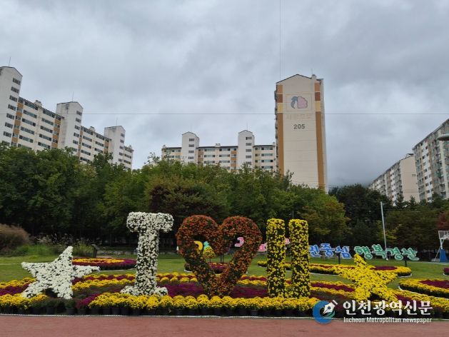 경산시, 남천둔치 국화 전시