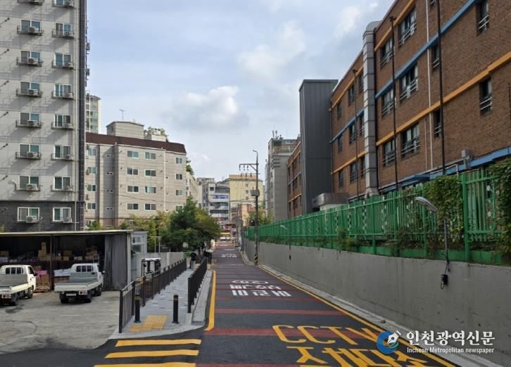 도로 개설공사 후