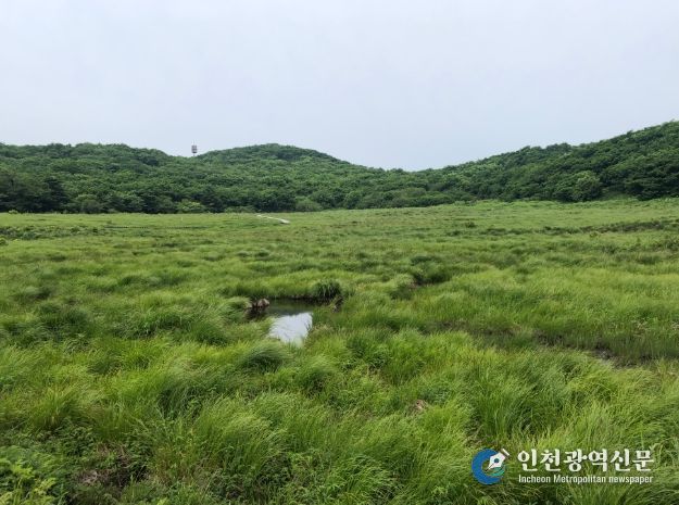 (북부지방산림청) 강원 인제 대암산 용늪 산림유전자원보호구역