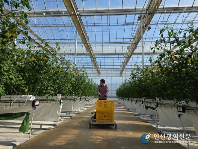 남원시, 26년 청년창업 스마트팜 패키지 지원사업 예산확보