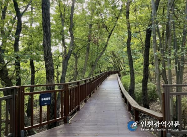 ‘서리풀공원 무장애숲길 연결로’ 조성