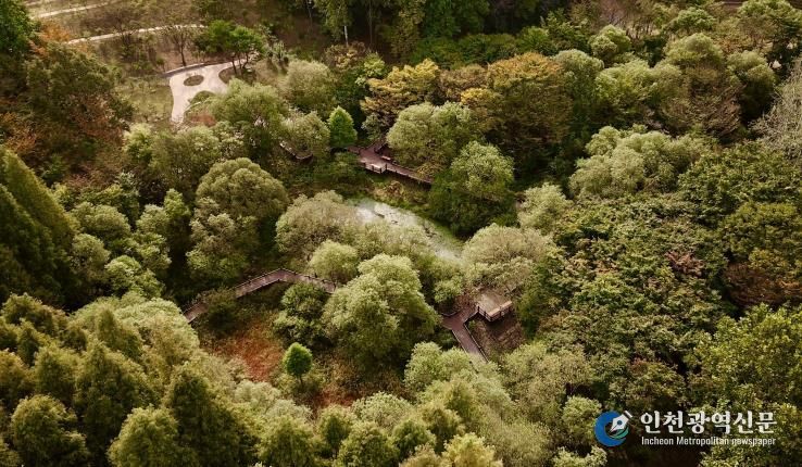 무장애 나눔길(물향기수목원)