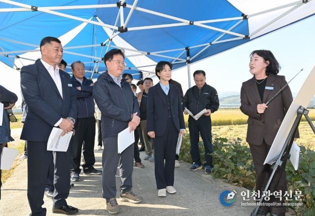 공주시 벼 수확·수매 현장 방문