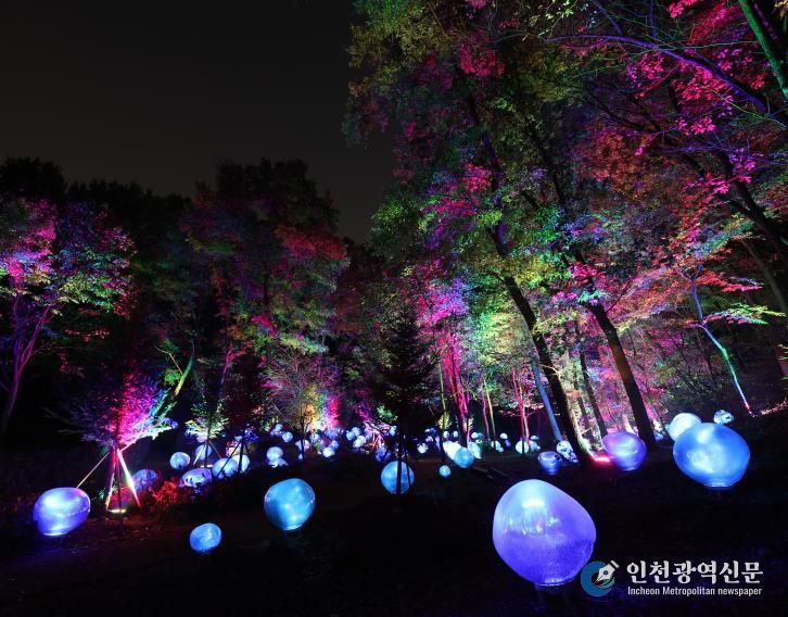 형형색색의 복사꽃 씨앗이 빛나는 도화씨 구간 전경