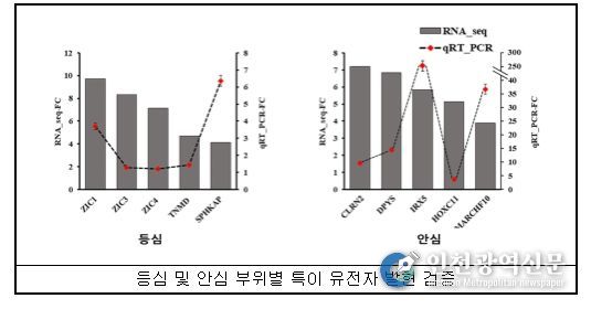 한우 고기 부위별 전사체 분석 결과