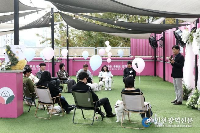 서대문구의 ‘썸댕문 with 내품애센터’ 진행 모습