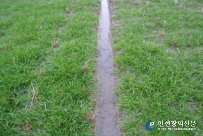 배수로가 정비된 재배지