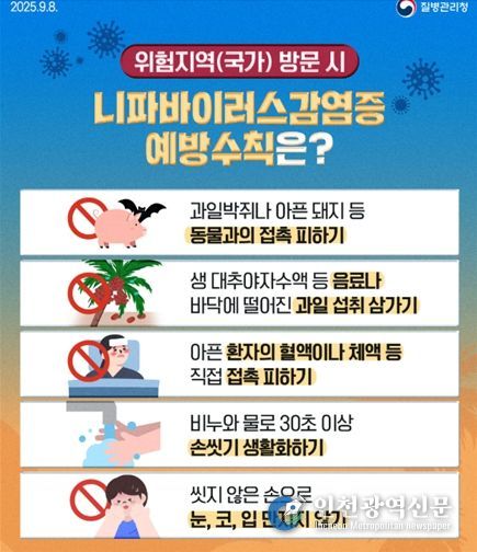 니파바이러스 예방수칙 질병청 카드뉴스