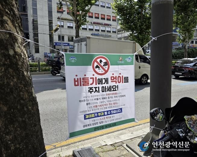 신림역 일대 남부순환로에 게첨된 비둘기 먹이주기 금지 안내문