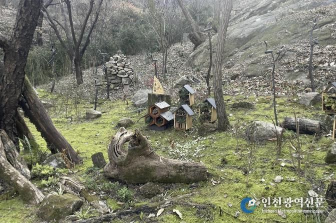서대문구 안산(鞍山) 쉬나무 쉼터 일대 ‘이끼숲’에 조성된 일명 ‘곤충마을’