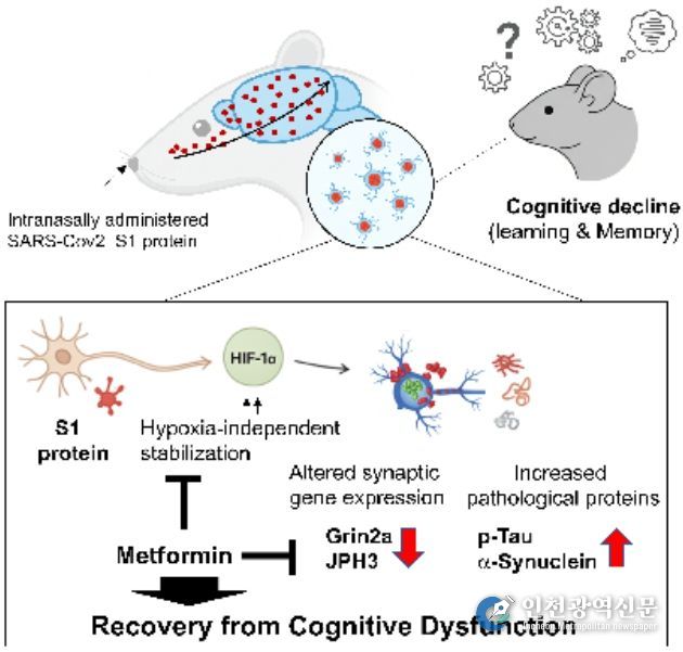 연구 내용 요약도