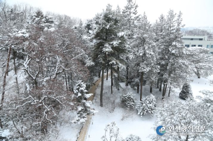 홍릉수목원 설경