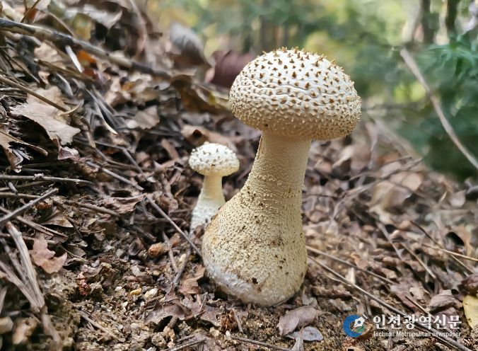 울산시, 생물다양성 사진전시회