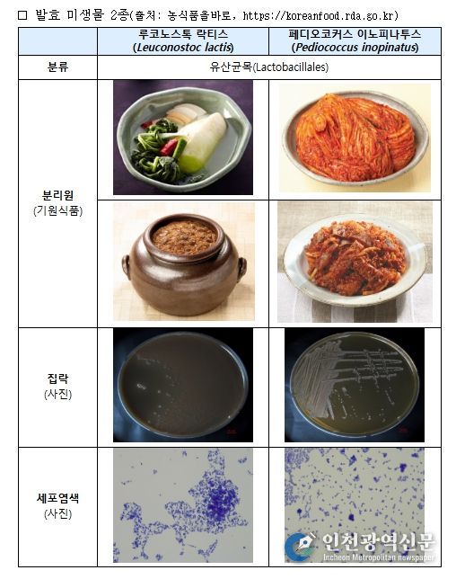 전통발효식품 미생물 2종 정보