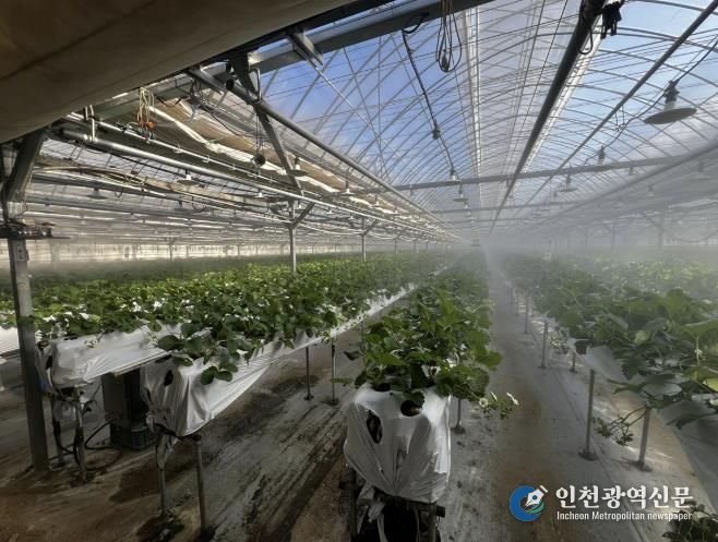 광주시, 선택형 맞춤 농정사업 추진…명품 농산물 육성 본격화