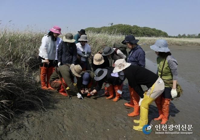 화성시생태관광사회적협동조합_활동사진