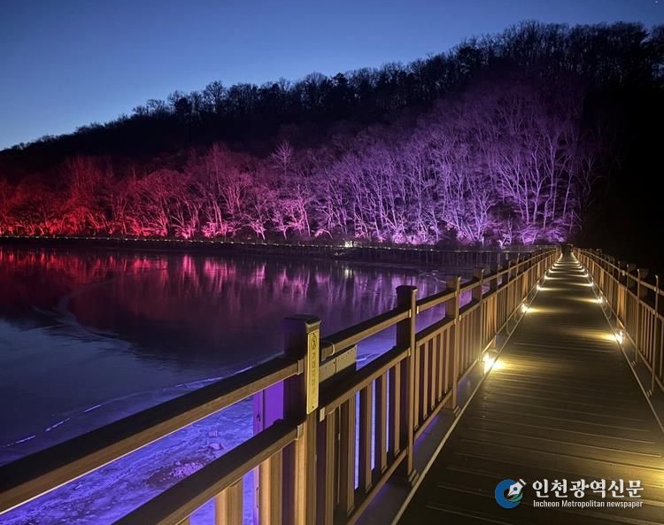 빛으로 새롭게 태어난 파주 공릉호수, 야간 명소로 거듭나다!