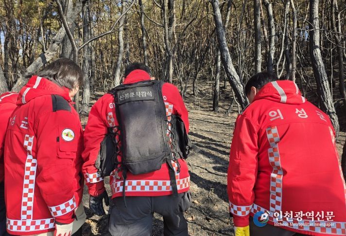 산불 원인 착수