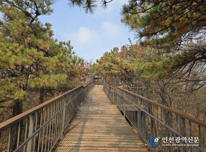 산림형 무장애나눔길 완성