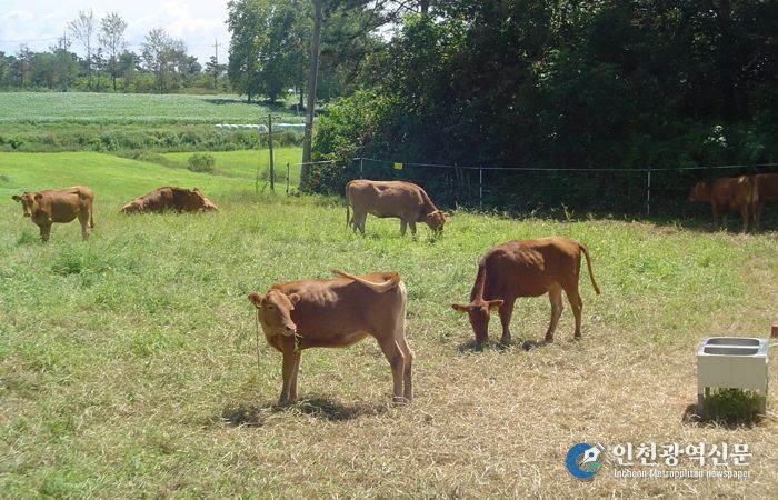 축산시험장 사진