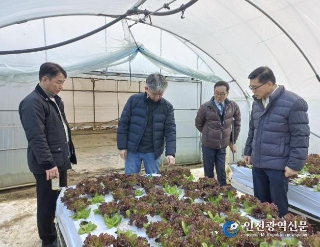 충주시, 시설채소 농가 겨울철 자연재난 대비 현장 점검 실시