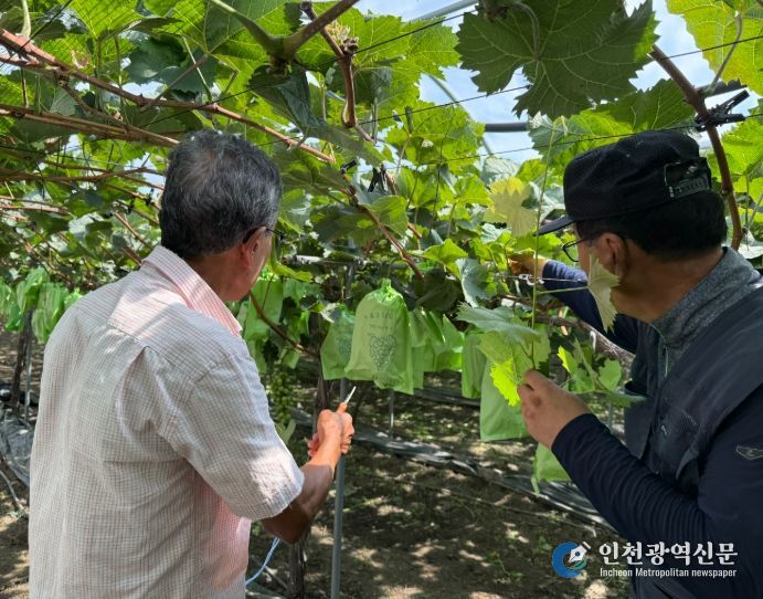 2025년 신규농업인 현장실습 교육