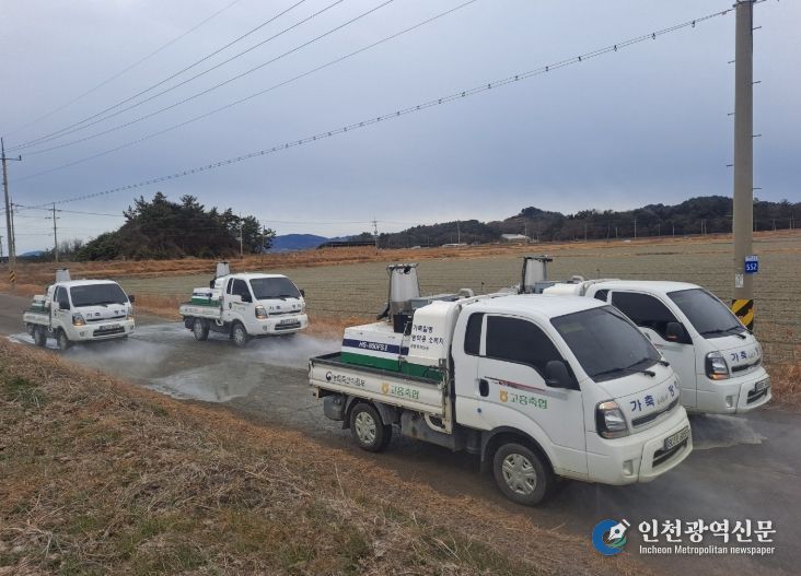 고병원성 조류 인플루엔자(AI) 차단방역 총력 대응